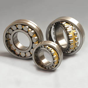 spherical roller bearing (4)